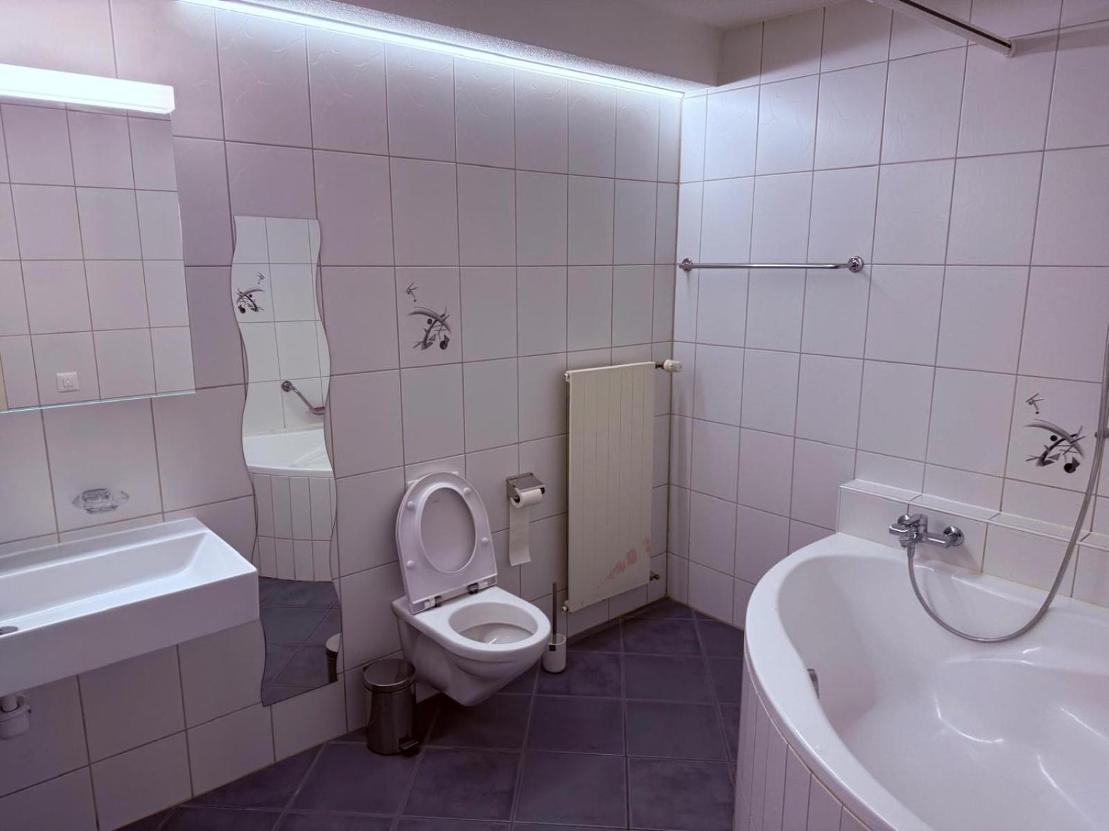 Sass Aparthotel Schönenwerd Екстериор снимка