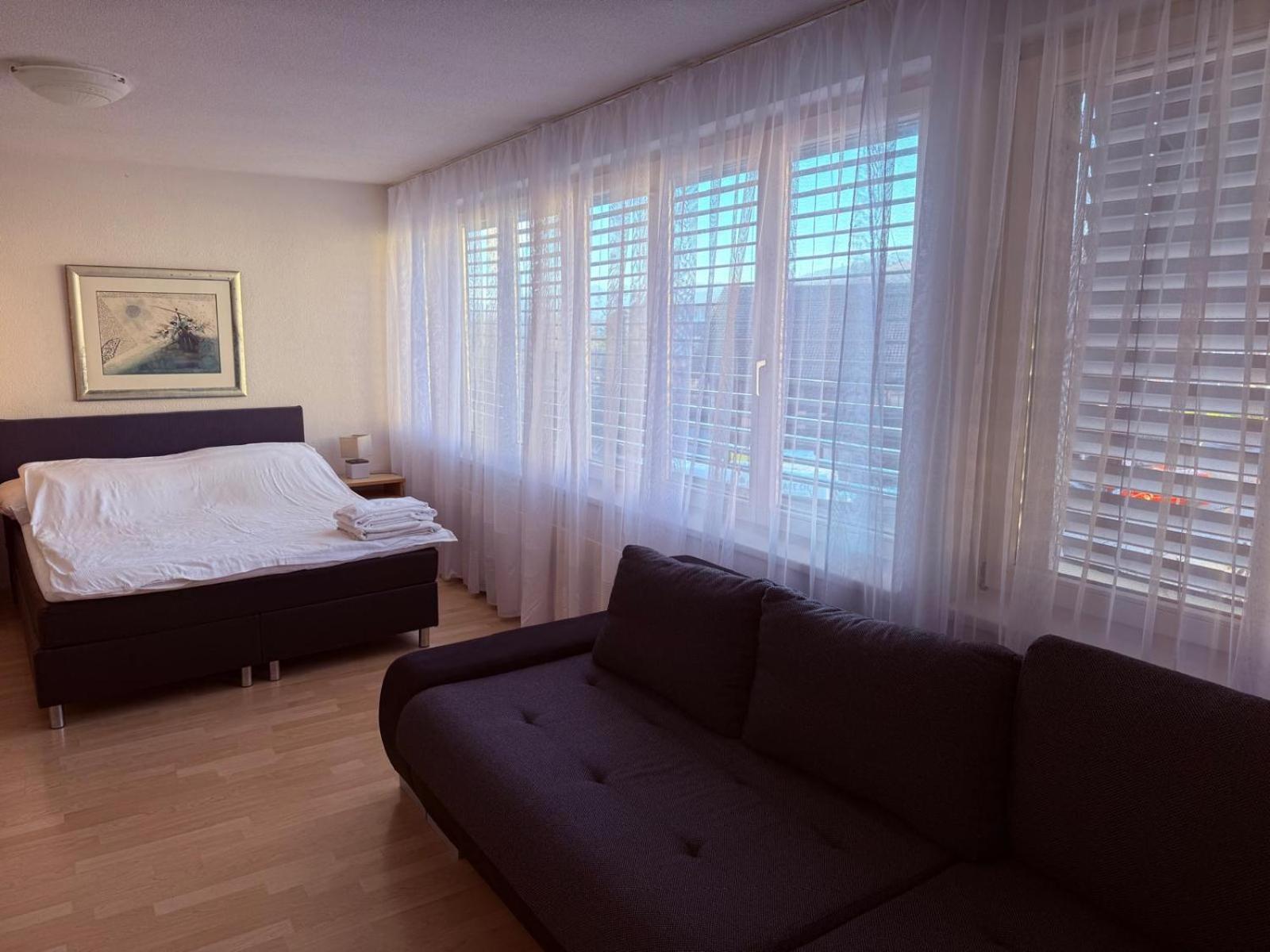 Sass Aparthotel Schönenwerd Екстериор снимка