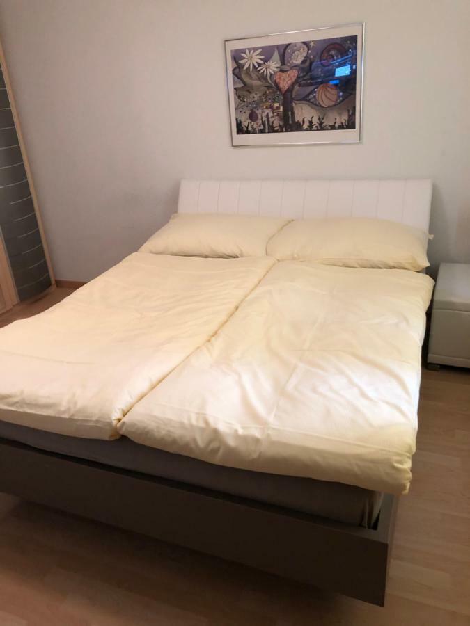 Sass Aparthotel Schönenwerd Екстериор снимка